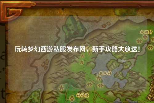 玩转梦幻西游私服发布网，新手攻略大放送！